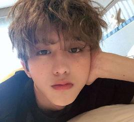 蔡徐坤私生活爆料视频合集,视频合集深度剖析