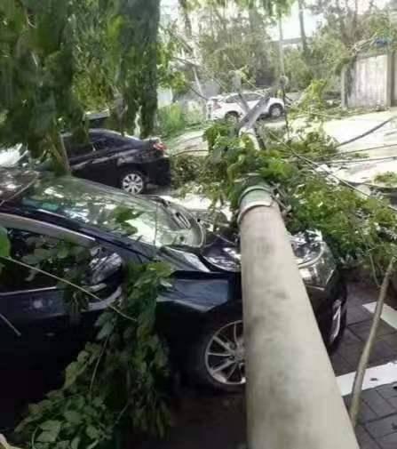 海南最新事件爆料信息大全,揭秘岛内热点动态全解析