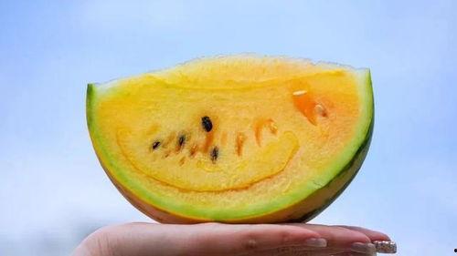 吃瓜免费吃瓜,尽享夏日狂欢！