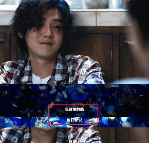 娱记爆料吴磊视频大全集,娱记爆料，青春偶像的成长轨迹