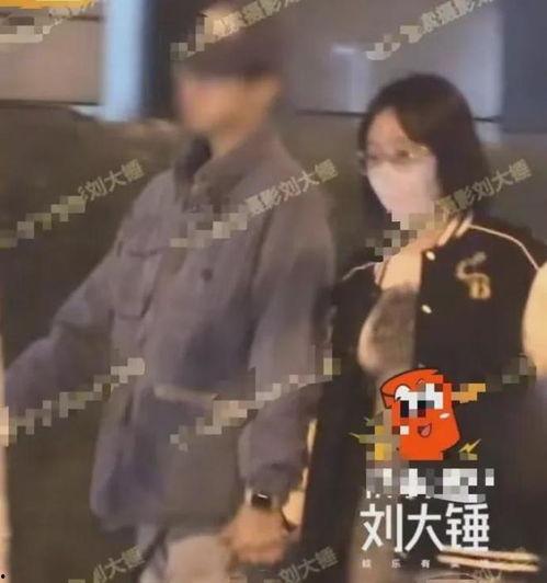 刘大锤最新爆料一览视频,揭秘娱乐圈幕后真相