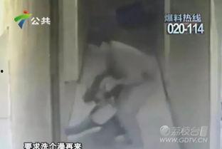 傻媳妇邻居爆料视频,傻媳妇日常爆笑瞬间，笑料连连引网友热议