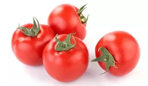 网红西红柿吃瓜