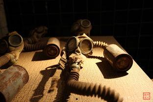 731细菌在线观看,惊心动魄的在线观看之旅